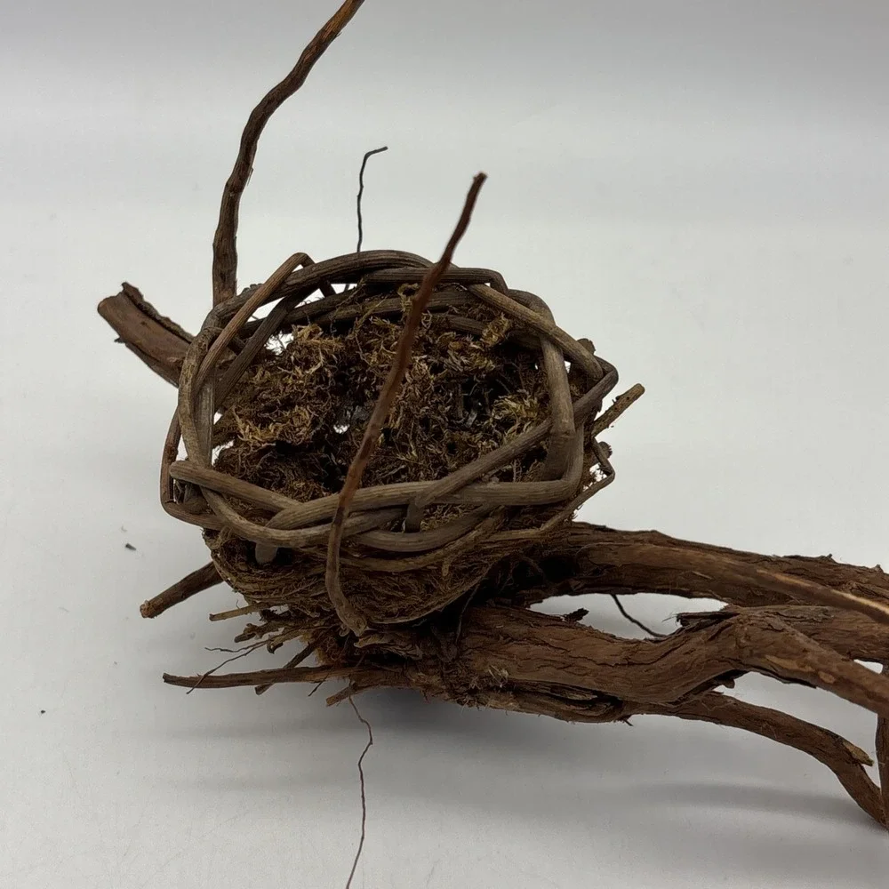 Bird nest  Garden decorations, home, floral accent, crafts, center piece